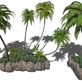 Tall Palm Trees With Lush Green Fronds And Rock Base Landscaping