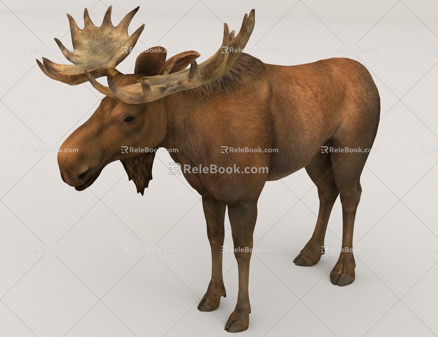 Reindeer Wildlife 3d model