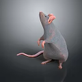 Cartoon Mouse Animated Mouse Grey Mouse Anime Mouse Cartoon Character 3d model