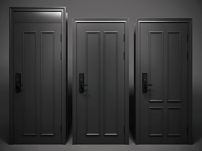Modern Black Security Doors With Panel Design And Secure Lock Systems 3d model
