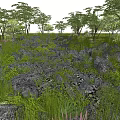 Natural Garden Ornament Scene With Rocks Green Grass And Tall Trees