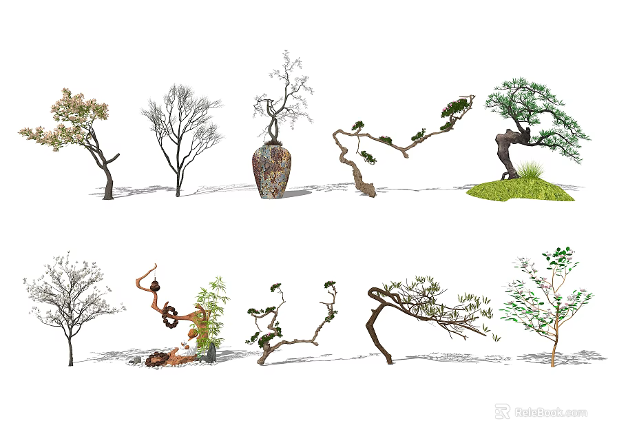 Various Tree Illustrations With Different Trunk Shapes And Crown Designs 3d model