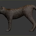 3D Lynx Model In Standing Pose With Spotted Fur And Tufted Ears On Gray Background