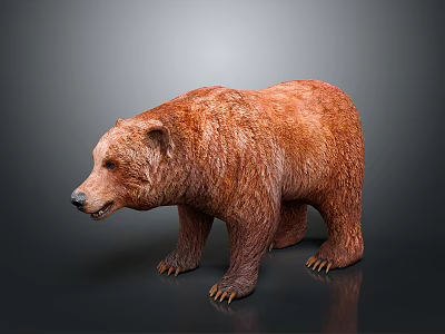 Realistic Brown Bear Model With Detailed Fluffy Fur And Standing Posture 3d model