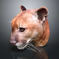 Cougar Head Model With Brown Fur Yellow Eyes And White Whiskers On Dark Background