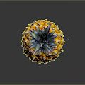 Fresh Ripe Pineapple With Vibrant Yellow Skin And Green Leafy Crown