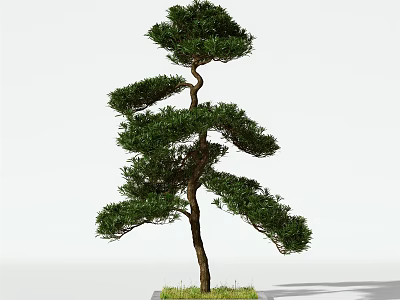 Unique Shaped Green Arbor With Curved Trunk Lush Foliage And Square Base 3d model