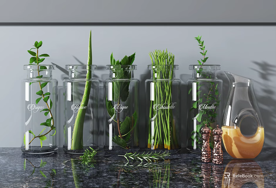 Glass Vases With Fresh Herbs Labeled On Kitchen Marble Countertop Gray Wall 3d model 