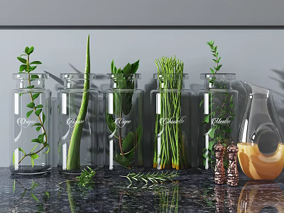 Glass Vases With Fresh Herbs Labeled On Kitchen Marble Countertop Gray Wall 3d model