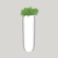 Bonsai Plant in White Tall Vase with Fresh Green Foliage for Indoor Decor