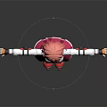 Child With Pink Hair Wearing White Top Pink Skirt Red Roller Skates Arms Outstretched