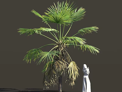Lush Green Shrub Plant With Palm Tree And White Statue In Outdoor Garden 3d model