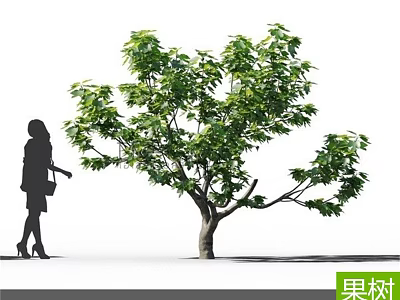 Lush Green Fruit Tree With Dense Foliage Beside Walking Woman Silhouette 3d model
