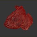 catfish catfish catfish beard catfish beard catfish egyptian beard catfish freshwater fish marine fish 3d model