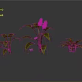 Three Different Plants With Purple Flowers Green Leaves On Gray Background With Reflections