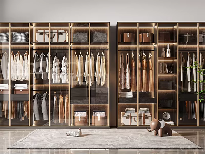 Modern Wardrobe Interior With Glass Doors Metal Frame Organized Clothes And Storage Boxes 3d model