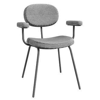 Delo Dining Chair 3d model