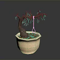 Bonsai Plant With Thin Trunk And Twisted Branches In Beige Octagonal Pot With Red Soil