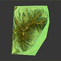 Detailed Realistic 3D Mountain Landscape Terrain Model With Green Yellow Textures