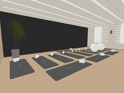 Indoor Yoga Studio With Aligned Yoga Mats White Blocks And Fitness Balls 3d model