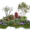 Diverse Colorful Garden Shrubs With Green Foliage And Purple Flowers