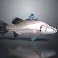 3D Rendered Fish with Silver Body and Blue Fins on Gray Background with Reflection