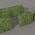Decorative Green Bushes with Curved and Square Shapes for Garden Landscaping