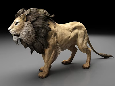 Realistic 3D Lion Model With Thick Mane Standing On Gray Surface 3d model