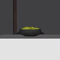 Bonsai Plant with Green Moss in Black Pot on White Tabletop with Lighting