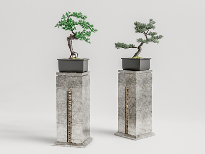 Modern Bonsai Pine Bonsai 3d model