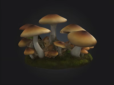 Cluster Of Brown And White Mushrooms Growing On Green Mossy Ground 3d model