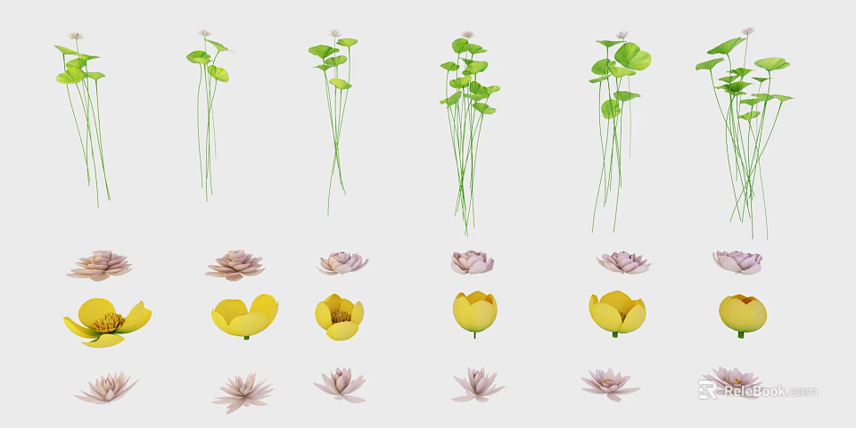 Various Beautiful Lotus And Yellow Flowers With Green Stems And Leaves 3d model 