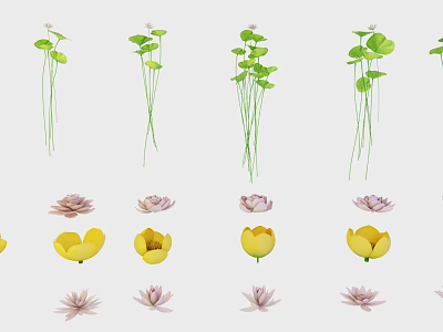 Various Beautiful Lotus And Yellow Flowers With Green Stems And Leaves 3d model
