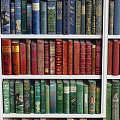 Colorful Books Neatly Arranged On Multiple Bookshelves With Various Colored Spines