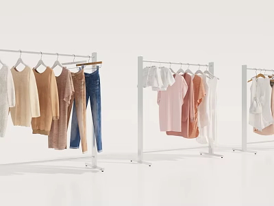 Clothes Racks With Hanging Shirts Pants And Dresses In Modern Display Space 3d model