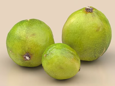Three Fresh Green Limes With Natural Surface Spots On Light Background And Different Sizes 3d model