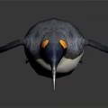 Penguin Standing With Black And White Feathers Yellow Neck Patch Orange Beak On Dark Background