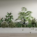 Bonsai Potted Plants in Long Rectangular Planter with Palm Succulents White Flowers Hanging Vines