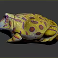 Colorful Yellow Frog Stuffed Toy With Pink And Orange Spots And Textured Surface