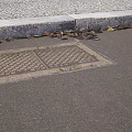 Road Infrastructure Manhole Cover with Patterned Design on Asphalt Pavement Near Curb with Fallen Leaves