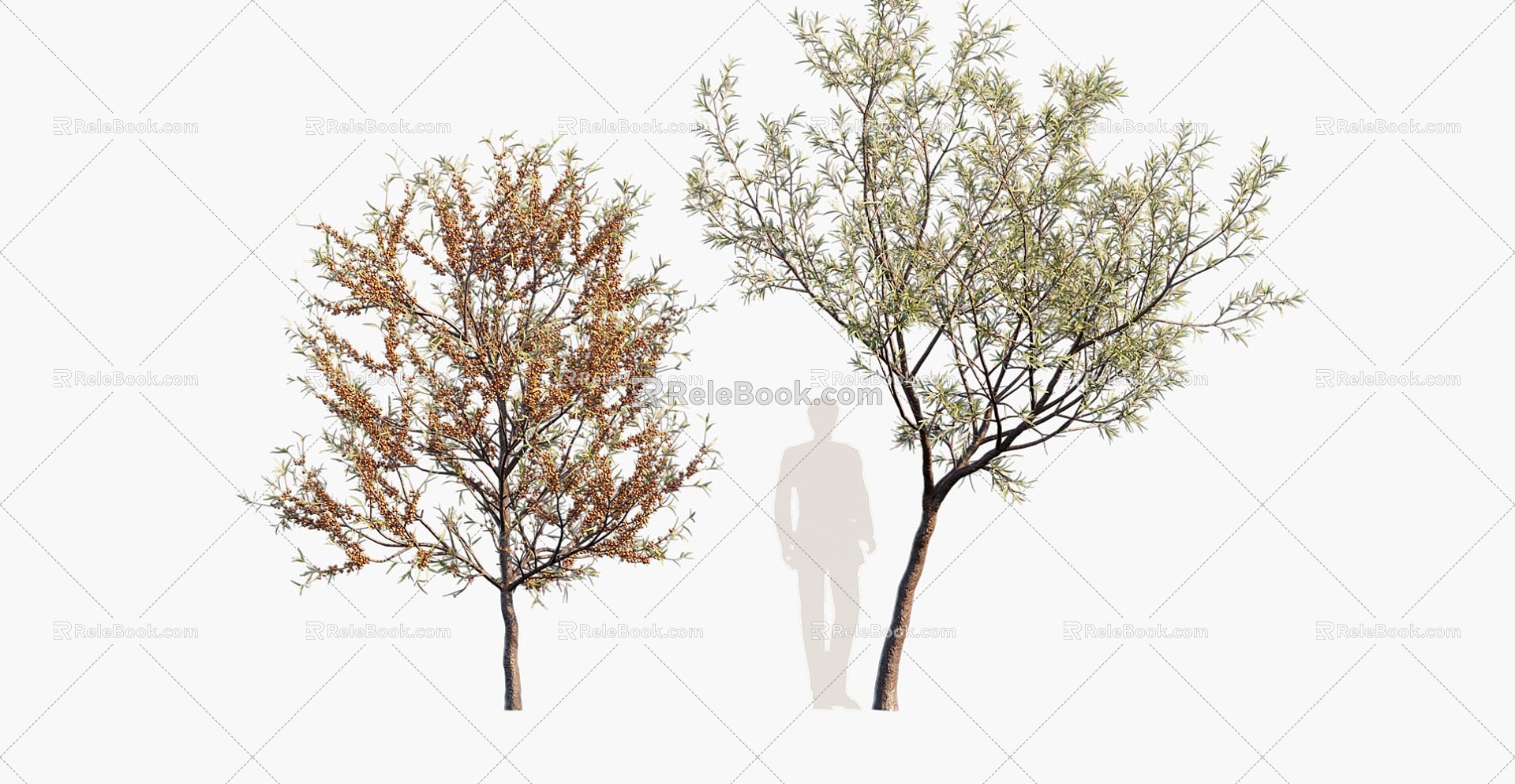 plant landscape tree dwarf tree flower tree 3d model