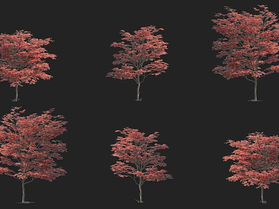 Multiple Red Leaf Trees With Various Shapes Against Black Background 3d model