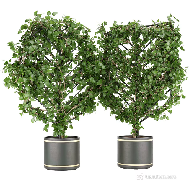 Lush Green Bonsai Plants In Black Pots With Gold Trim For Indoor Decor 3d model 