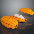 Mango Cocoa Bean Cocoa Fruit 3d model