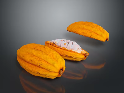 Fresh Cocoa Pods With Split Open One Showing White Pulp On Dark Surface With Reflection 3d model