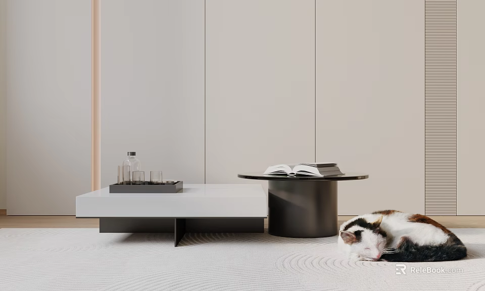 Modern Minimalist Coffee Table With Open Books And Sleeping Cat 3d model