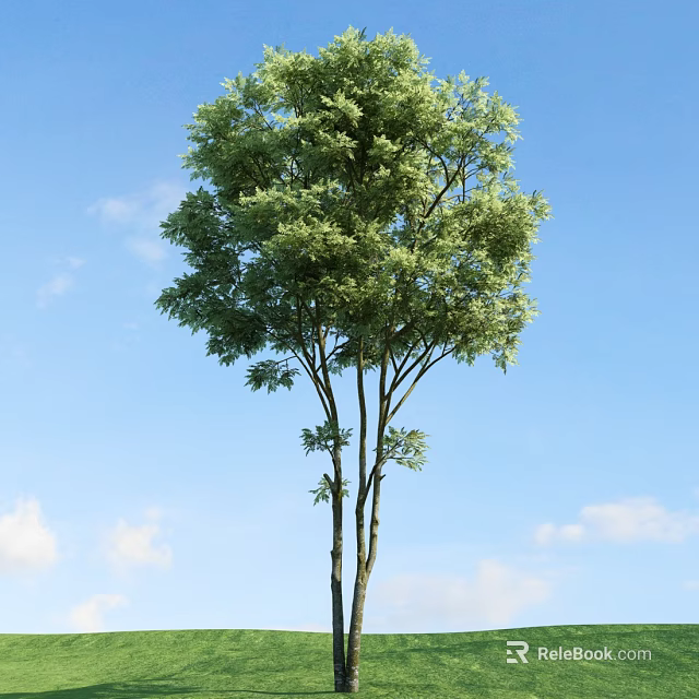 Tall Lush Arbor With Green Leaves Against Blue Sky And White Clouds 3d model 
