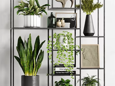 Black Metal Storage Shelf With Green Plants Decorative Items Frames And Books 3d model