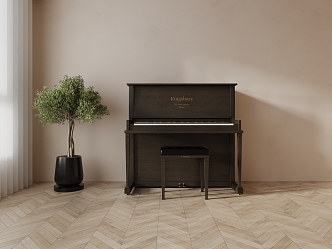 Modern Piano Green Plant 3d model