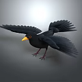 Black Bird With Spread Wings Yellow Beak Red Claws Against Gray Background And Light Source 3d model